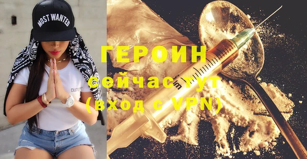 индика Горнозаводск