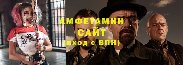 индика Горнозаводск