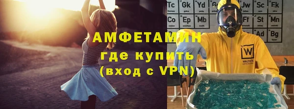 индика Горнозаводск