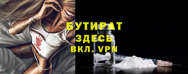 индика Горнозаводск