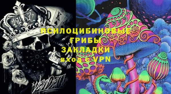 2c-b Горно-Алтайск