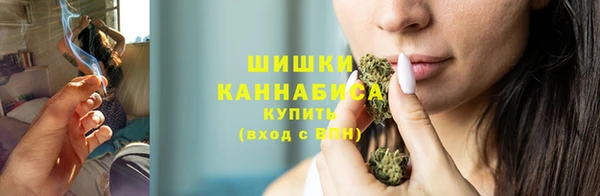 индика Горнозаводск