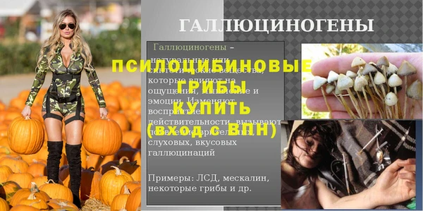 mix Горняк