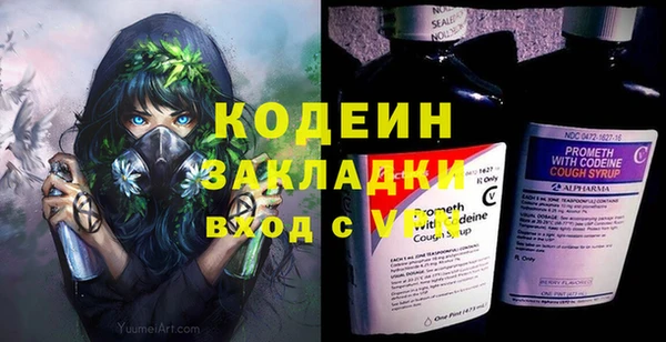 индика Горнозаводск