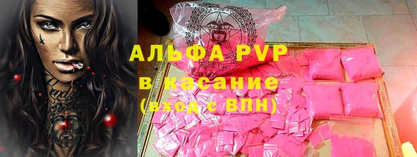 индика Горнозаводск