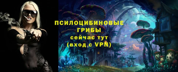 2c-b Горно-Алтайск