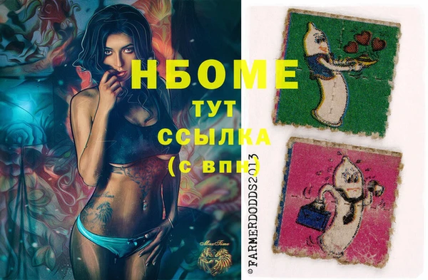 индика Горнозаводск