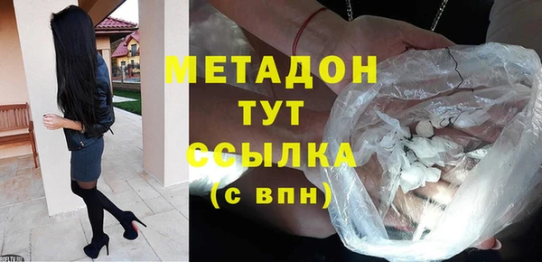 индика Горнозаводск
