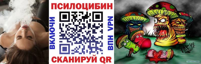 Купить закладки Свободный Псилоцибиновые грибы прущие грибы